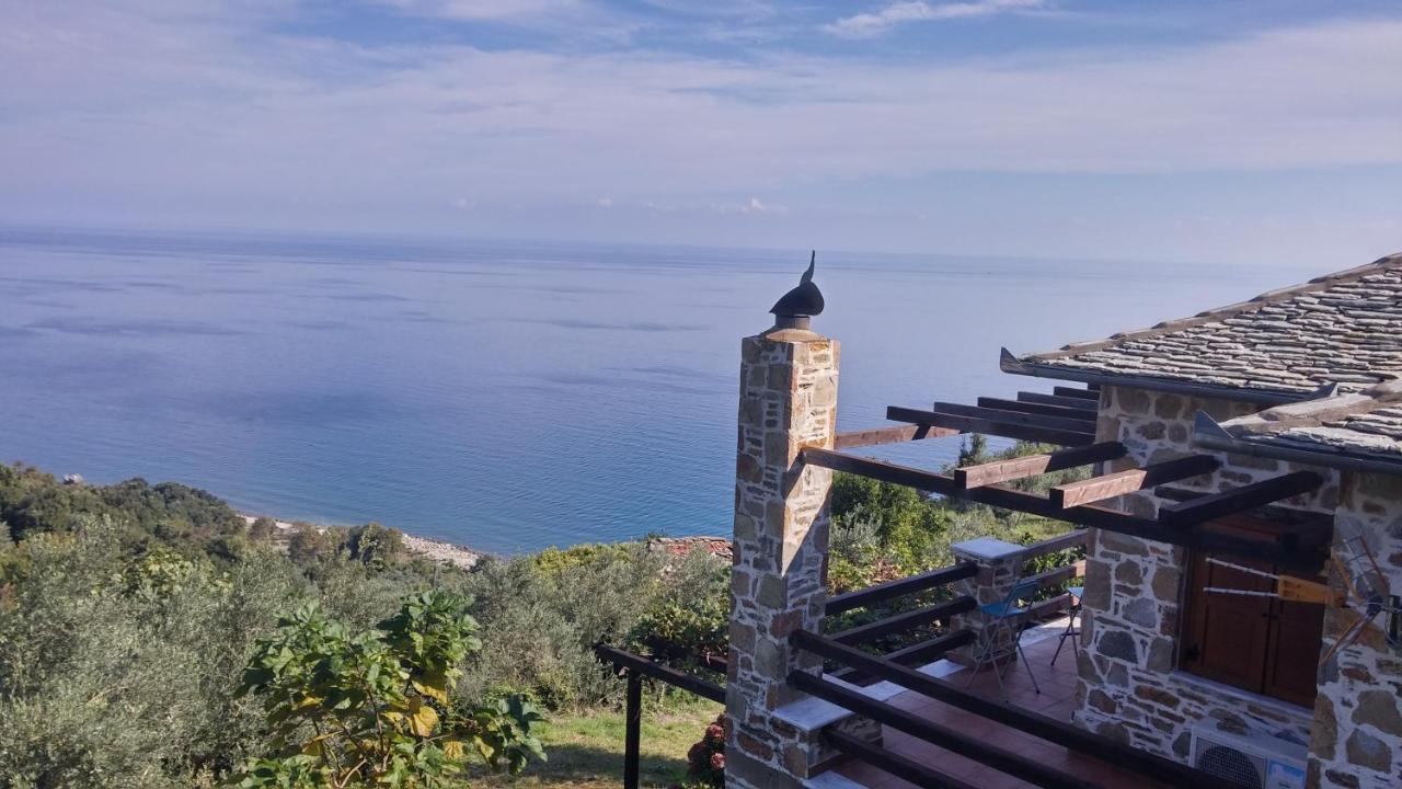 Analipsi Sea View Hommes Villa Zagora Exterior photo