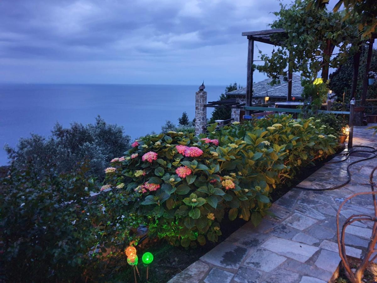 Analipsi Sea View Hommes Villa Zagora Exterior photo