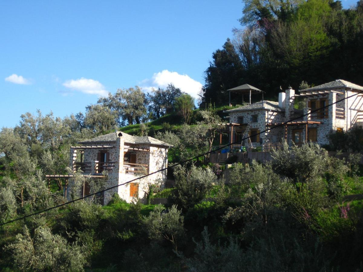 Analipsi Sea View Hommes Villa Zagora Exterior photo